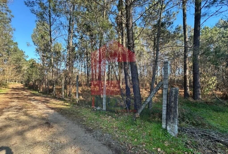 Terreno para Venda em Lago Foto 3