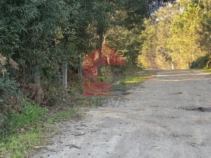 Terreno para Venda em Lago Foto 21