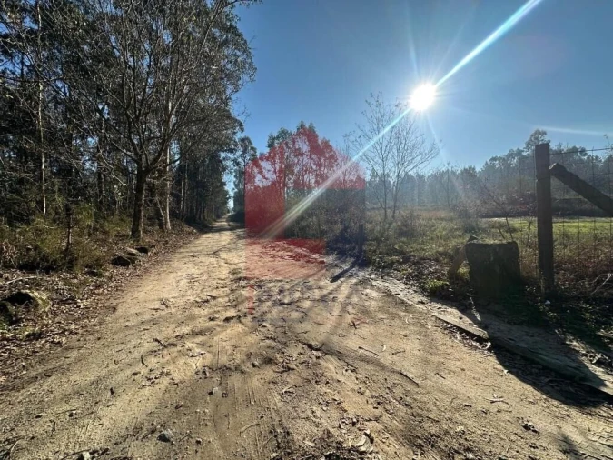 Terreno para Venda em Lago Foto 10