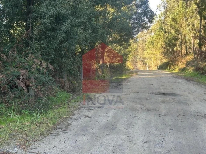 Terreno para Venda em Lago Foto 19