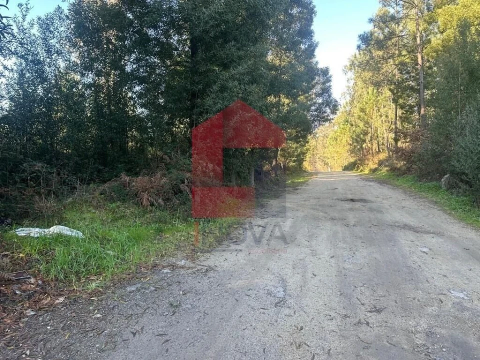 Terreno para Venda em Lago Foto 18