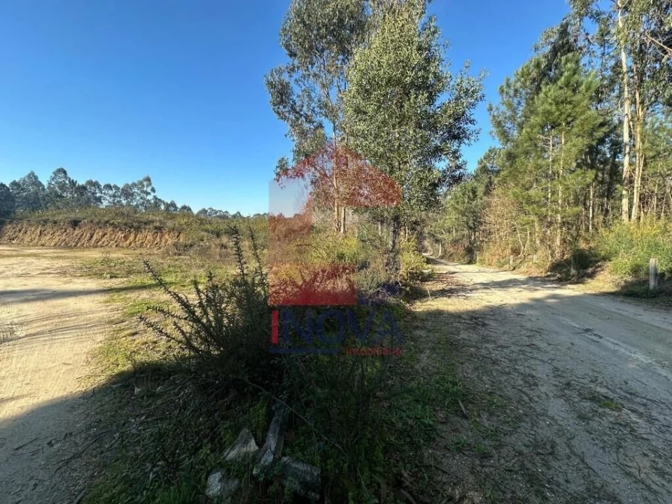 Terreno para Venda em Lago Foto 9