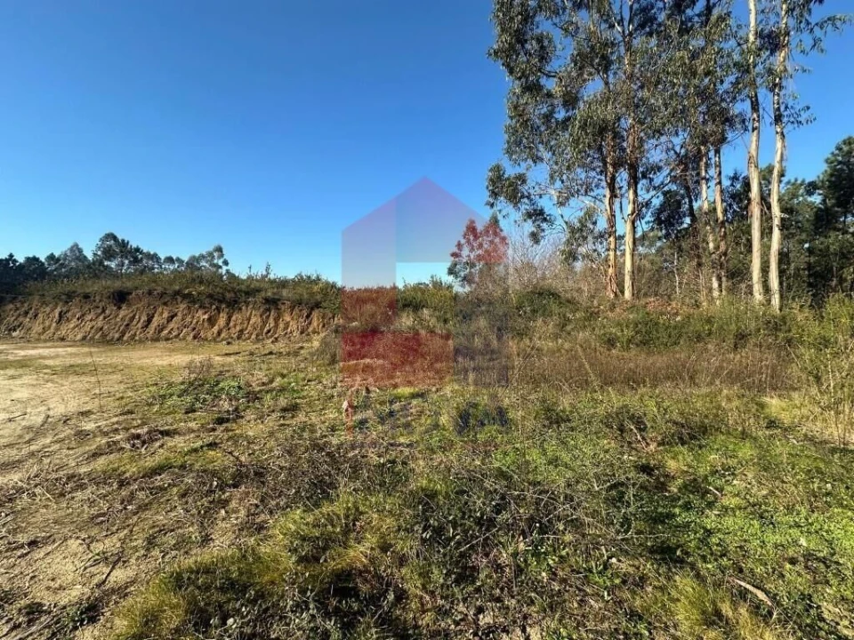 Terreno para Venda em Lago Foto 8