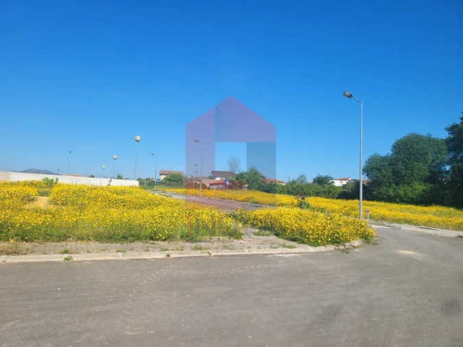 Terreno para Venda em Loureira Foto 4