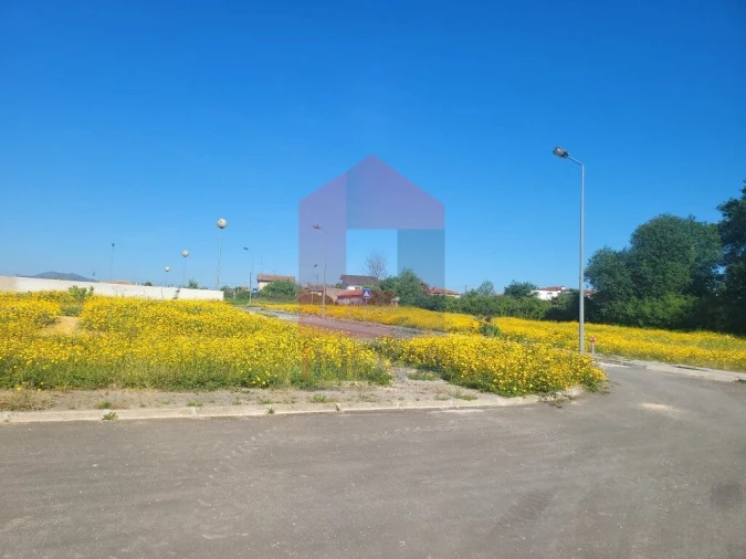 Terreno para Venda em Loureira Foto 4