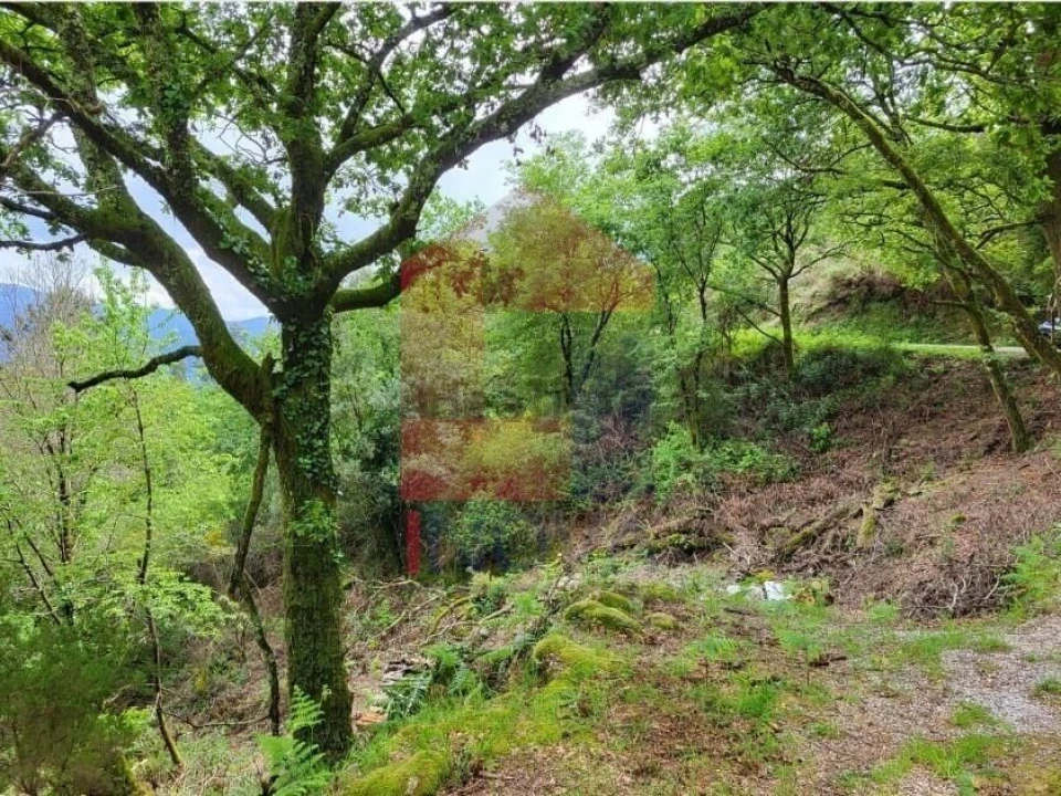 Terreno para Venda em Valdreu Foto 5