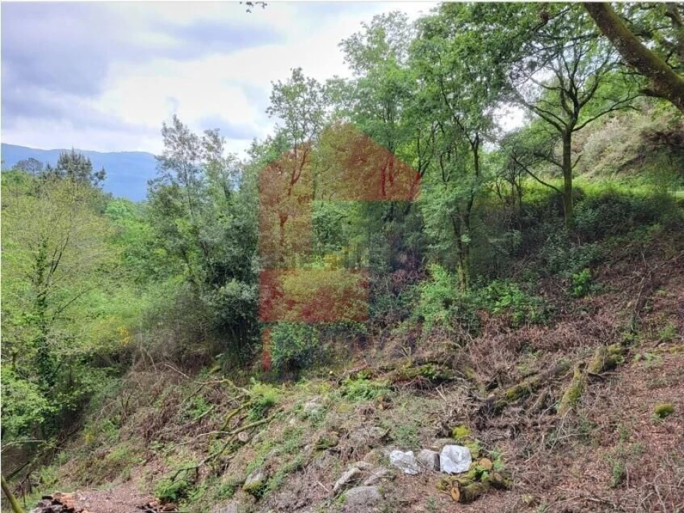 Terreno para Venda em Valdreu Foto 4