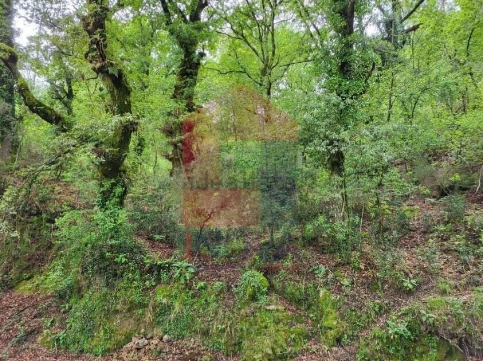 Terreno para Venda em Valdreu Foto 2