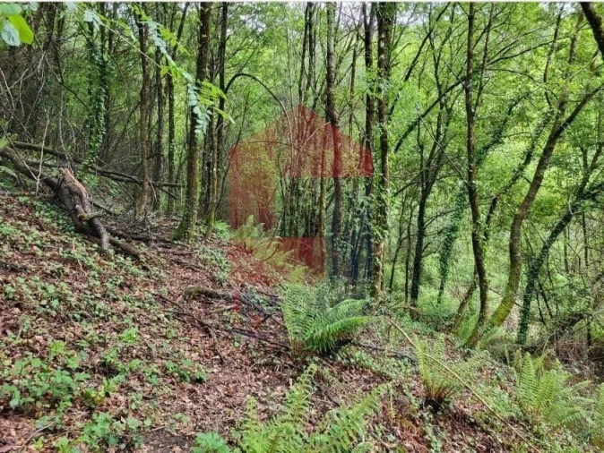 Terreno para Venda em Valdreu Foto 3