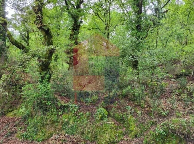 Terreno para Venda em Valdreu Foto 2