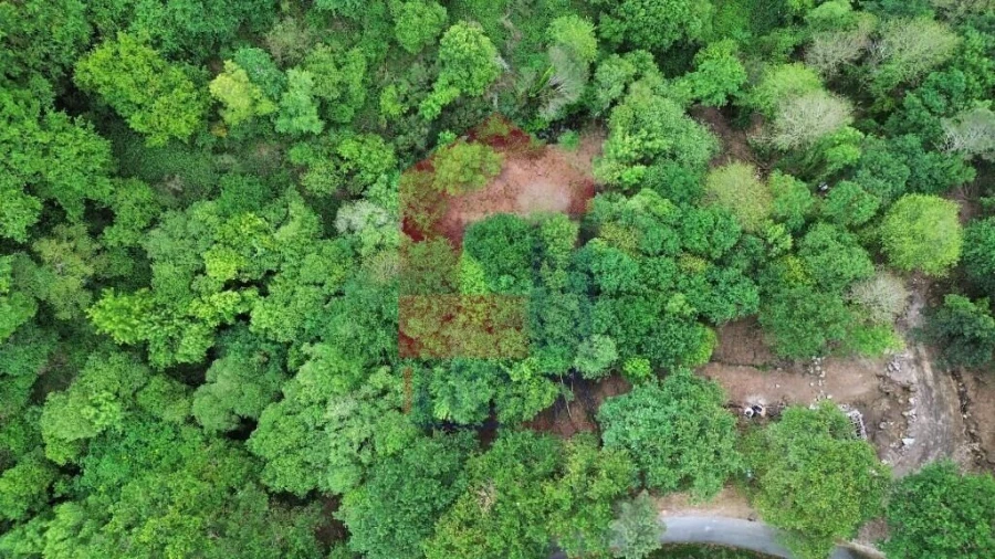 Terreno para Venda em Valdreu Foto 10