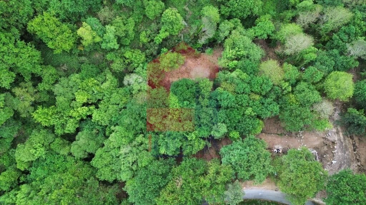 Terreno para Venda em Valdreu Foto 10