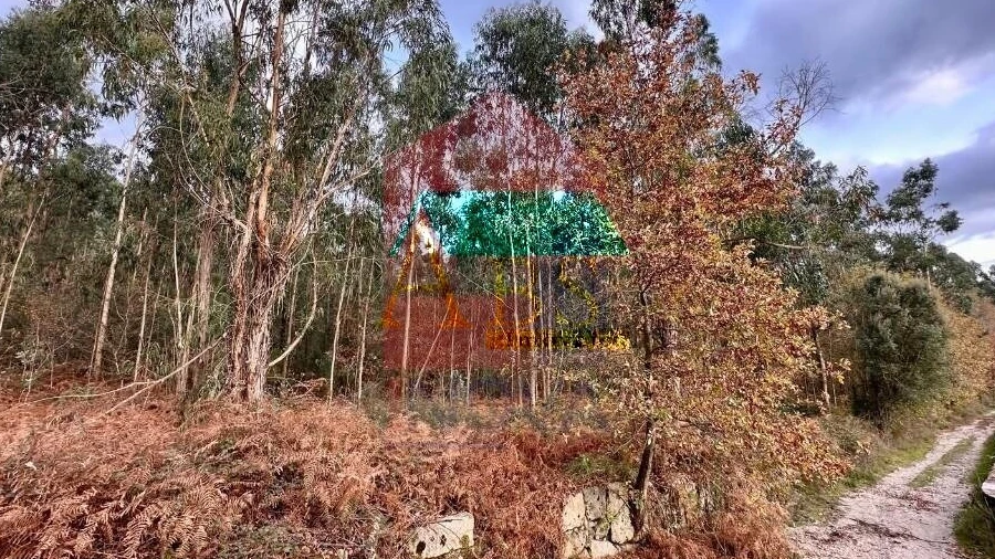 Terreno para Venda em Cervães