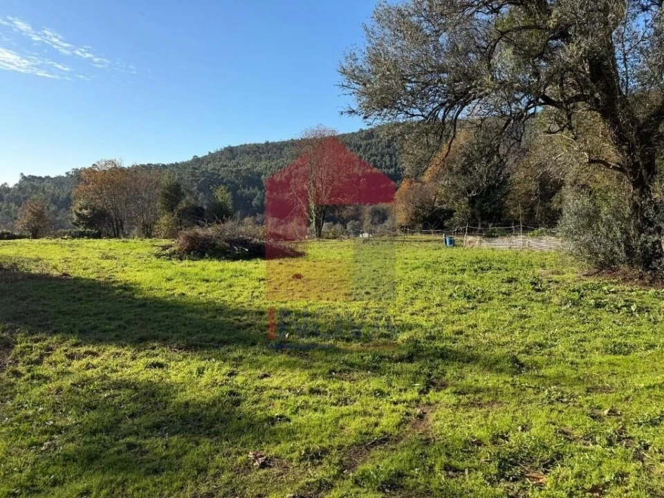 Terreno para Venda em Prado (São Miguel) Foto 10