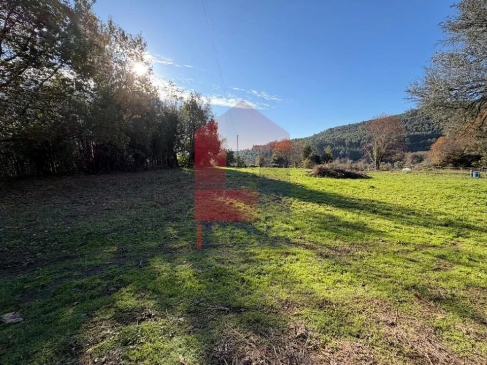 Terreno para Venda em Prado (São Miguel) Foto 9