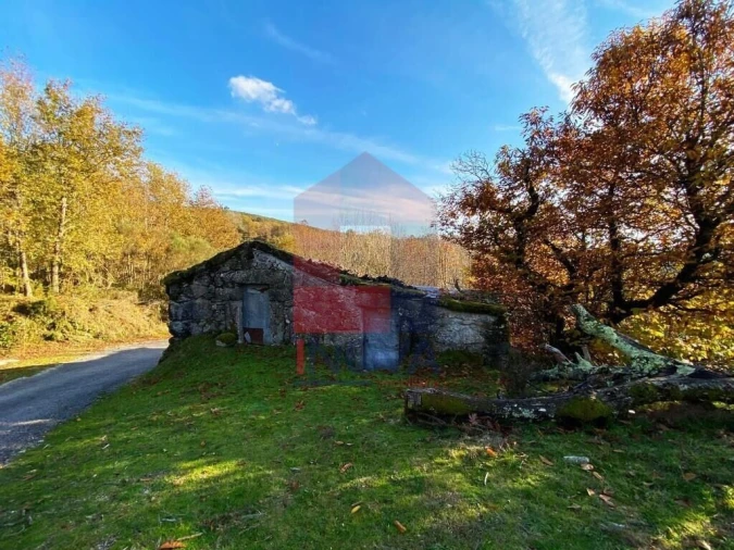 Moradia T0 para Venda em Aboim da Nóbrega e Gondomar Foto 5