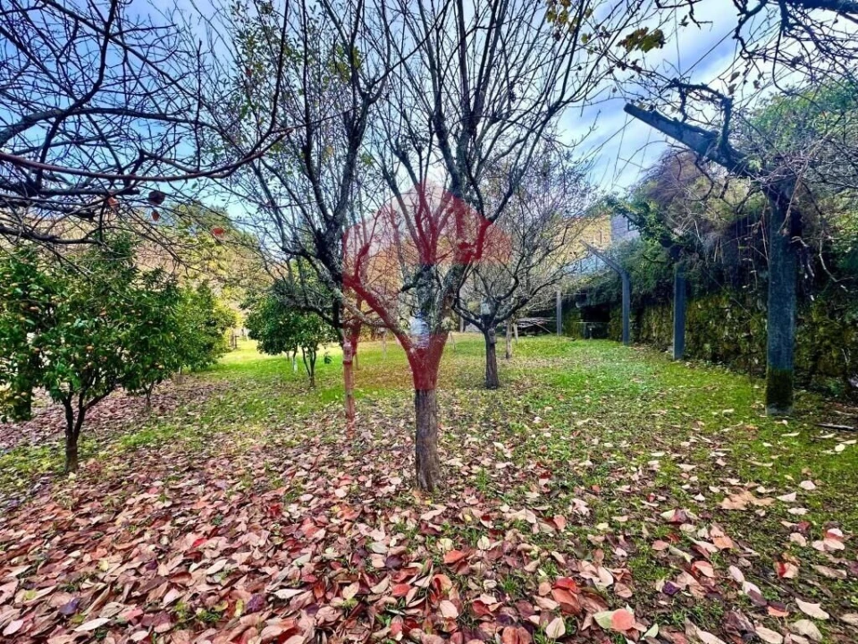 Moradia T3 para Venda em Valdreu Foto 31