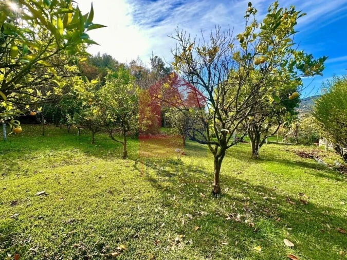 Moradia T3 para Venda em Valdreu Foto 28