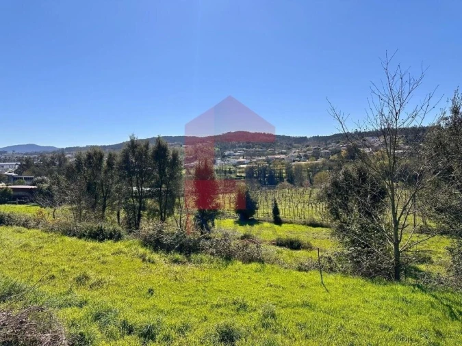 Moradia T3 para Venda em Cabanelas Foto 44