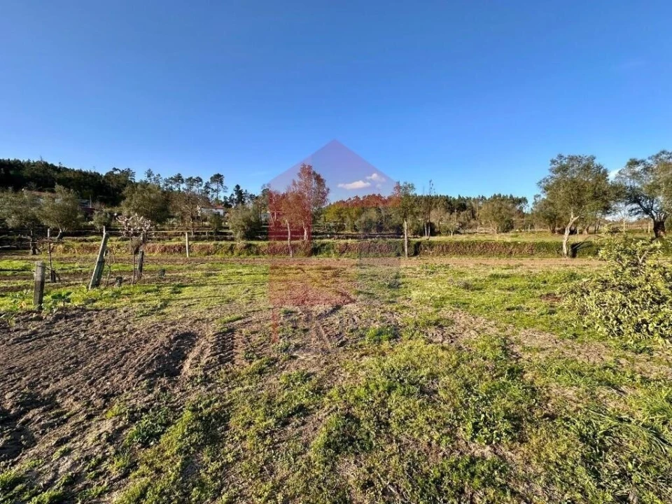 Terreno para Venda em Ponte Foto 29