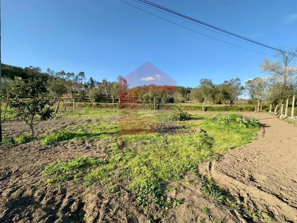 Terreno para Venda em Ponte Foto 24
