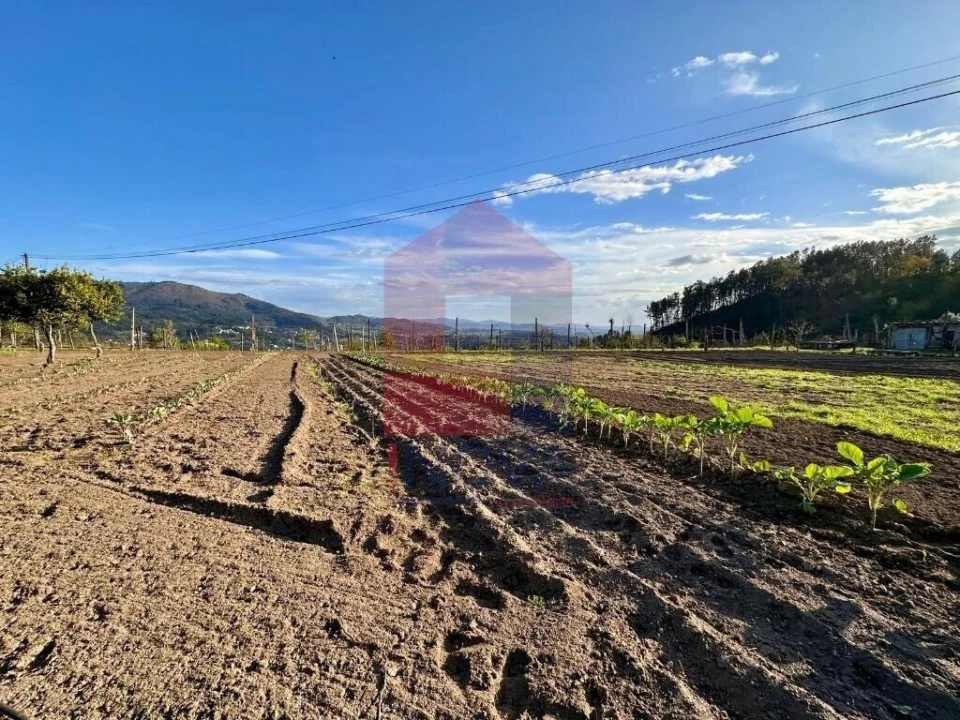 Terreno para Venda em Ponte Foto 8
