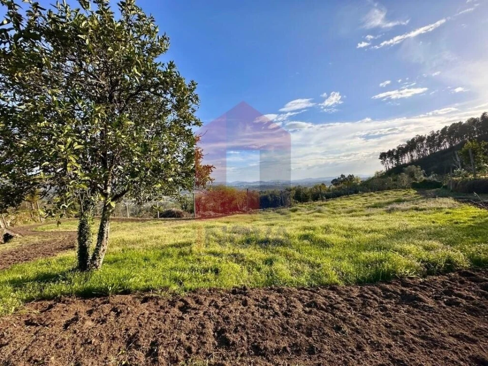Terreno para Venda em Ponte Foto 19