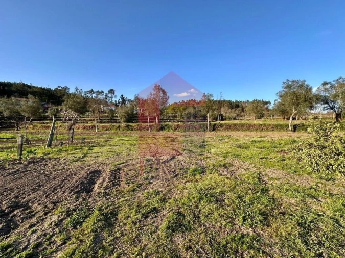 Terreno para Venda em Ponte Foto 29