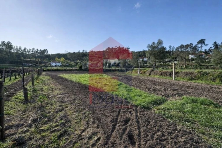 Terreno para Venda em Ponte Foto 23