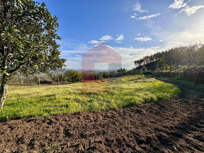 Terreno para Venda em Ponte Foto 20