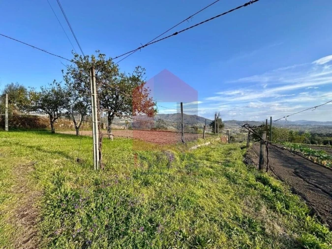 Terreno para Venda em Ponte Foto 30