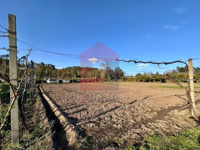 Terreno para Venda em Ponte Foto 5