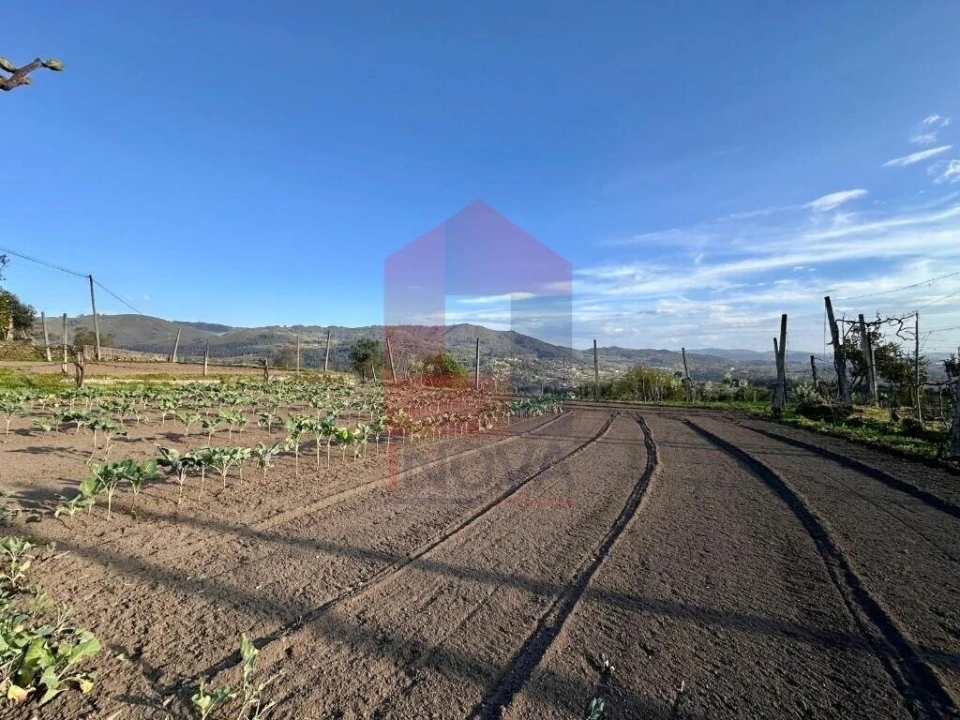 Terreno para Venda em Ponte Foto 3