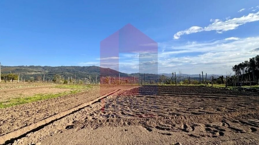 Terreno para Venda em Ponte