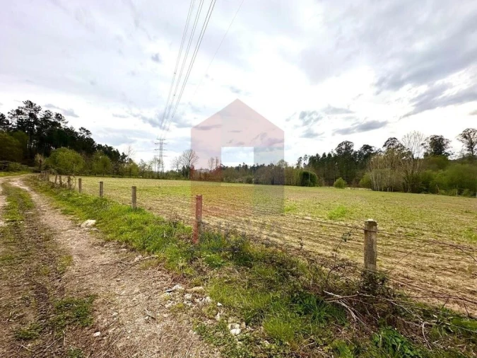 Terreno para Venda em Lanhas Foto 6