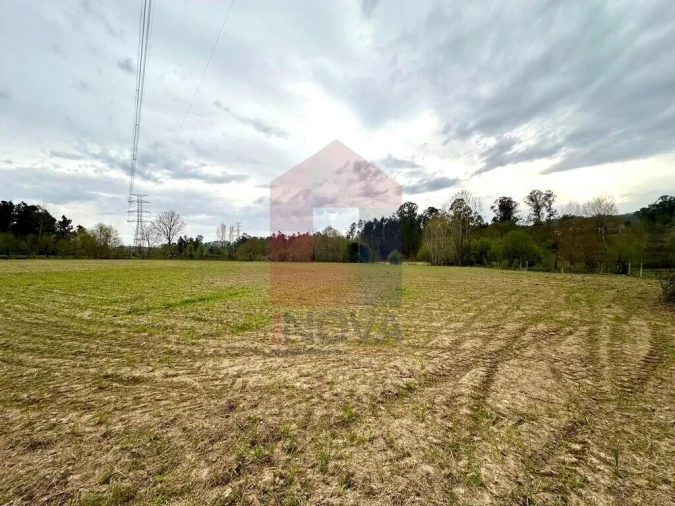 Terreno para Venda em Lanhas Foto 4