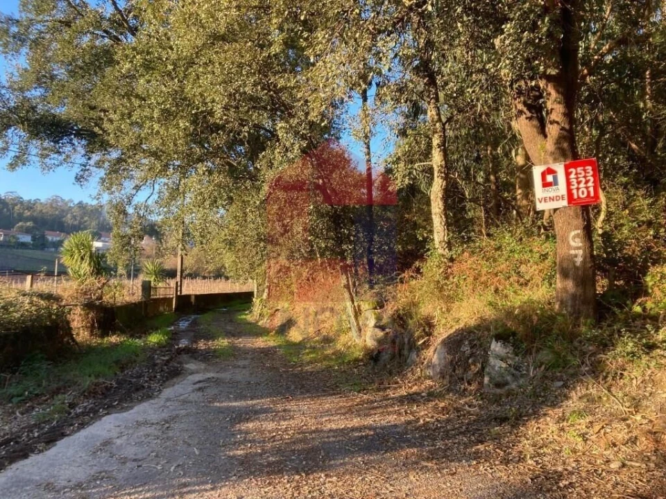 Terreno para Venda em Cervães Foto 9
