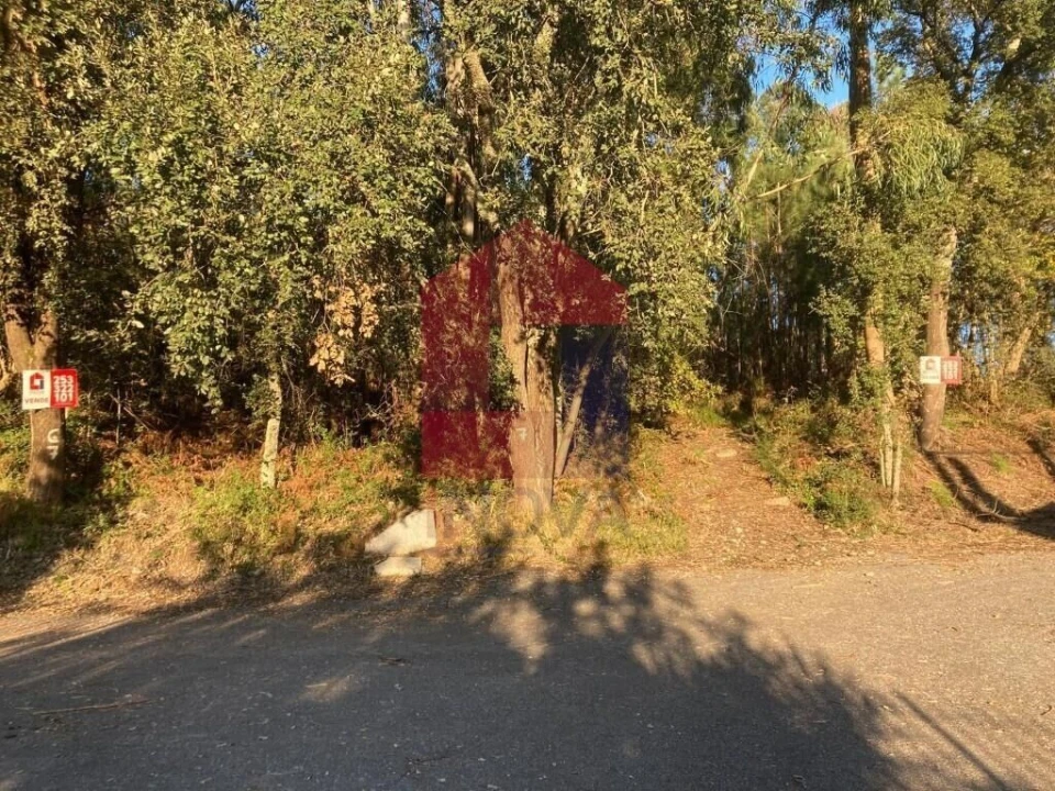 Terreno para Venda em Cervães Foto 1