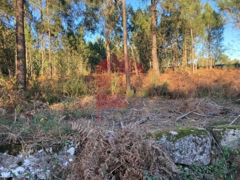 Terreno para Venda em Cervães Foto 11