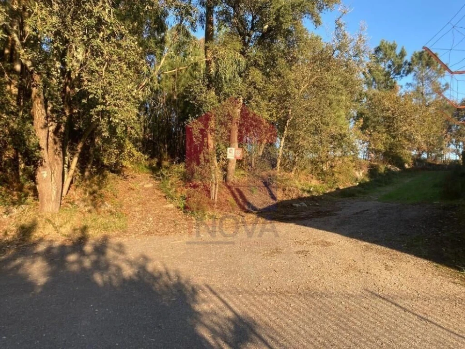 Terreno para Venda em Cervães Foto 2