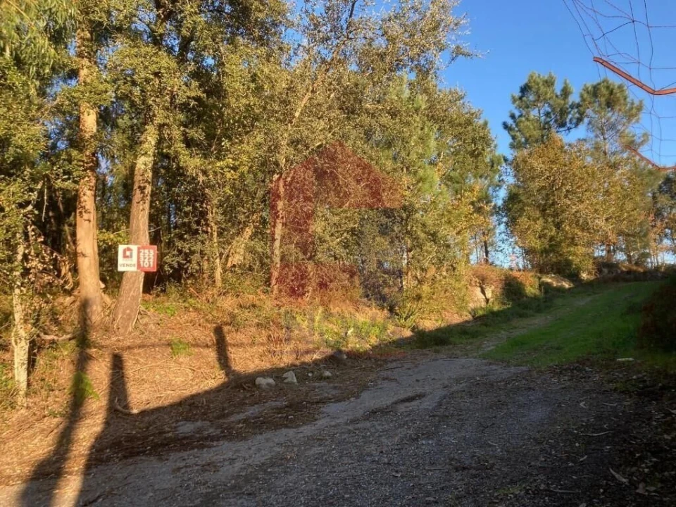 Terreno para Venda em Cervães Foto 24