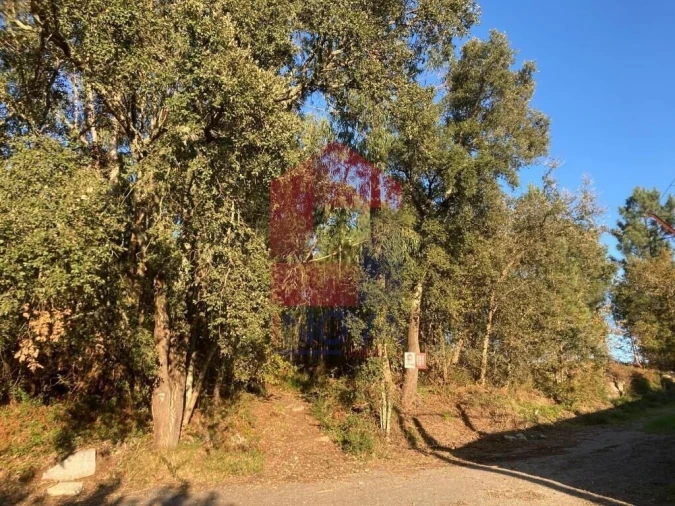 Terreno para Venda em Cervães Foto 25