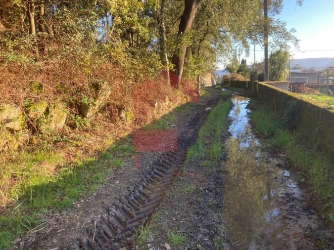 Terreno para Venda em Cervães Foto 5