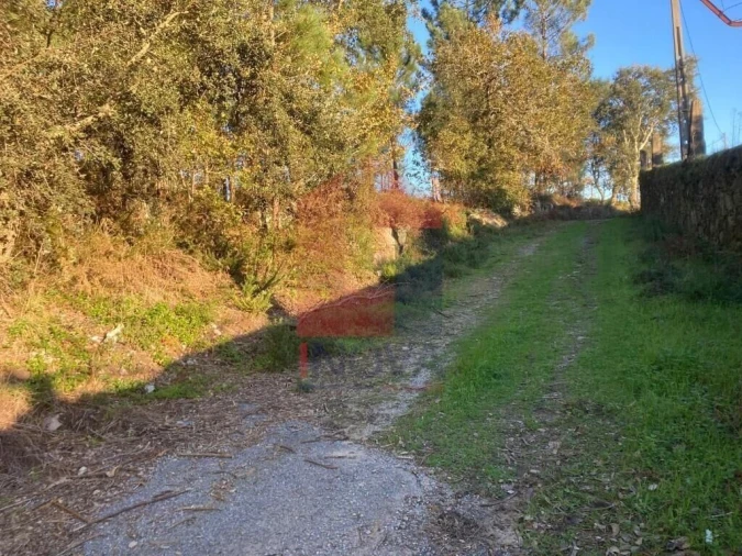 Terreno para Venda em Cervães Foto 22