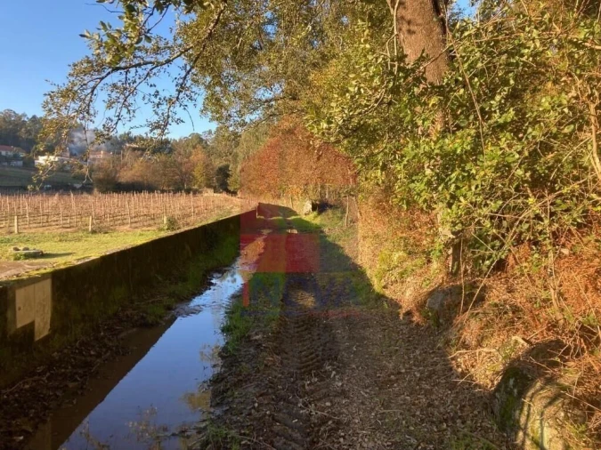 Terreno para Venda em Cervães Foto 8