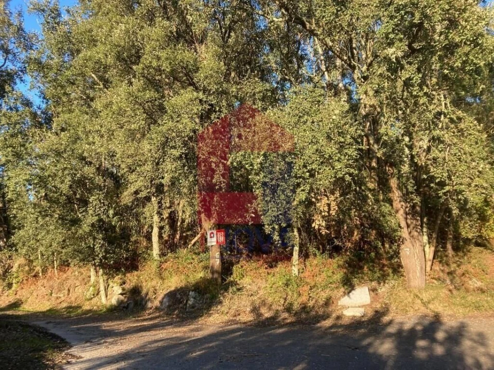 Terreno para Venda em Cervães Foto 26