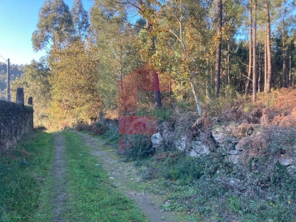 Terreno para Venda em Cervães Foto 19