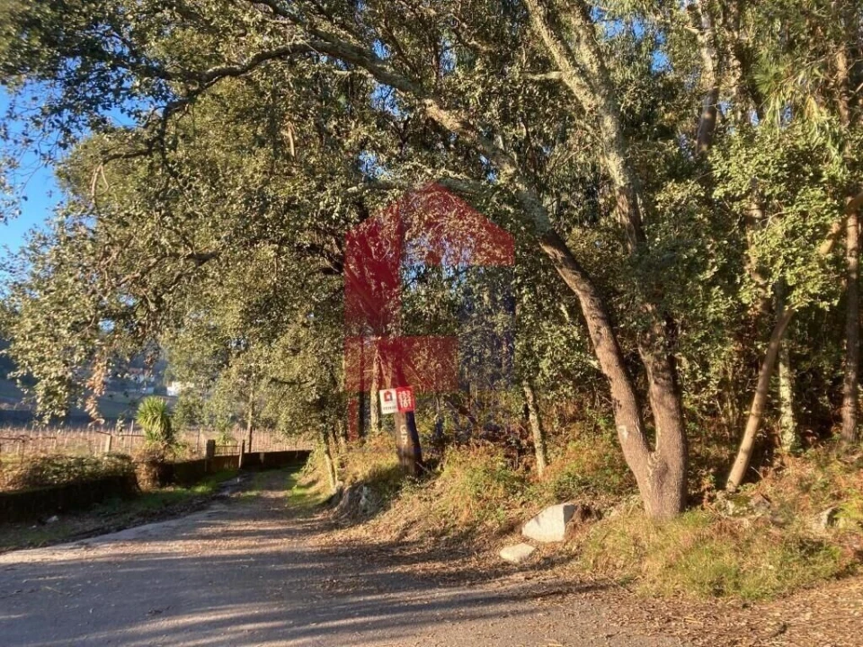 Terreno para Venda em Cervães Foto 23