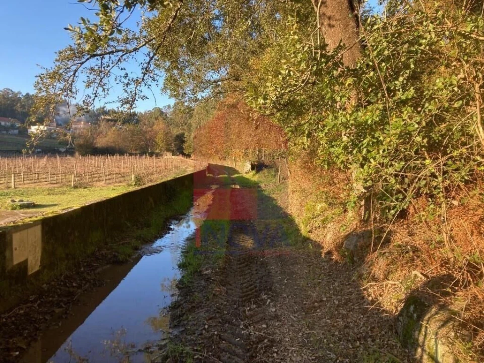 Terreno para Venda em Cervães Foto 8