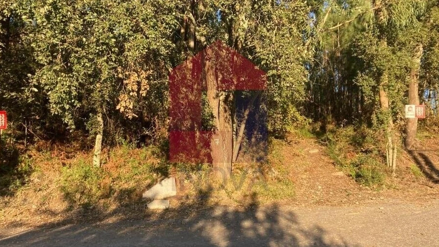 Terreno para Venda em Cervães